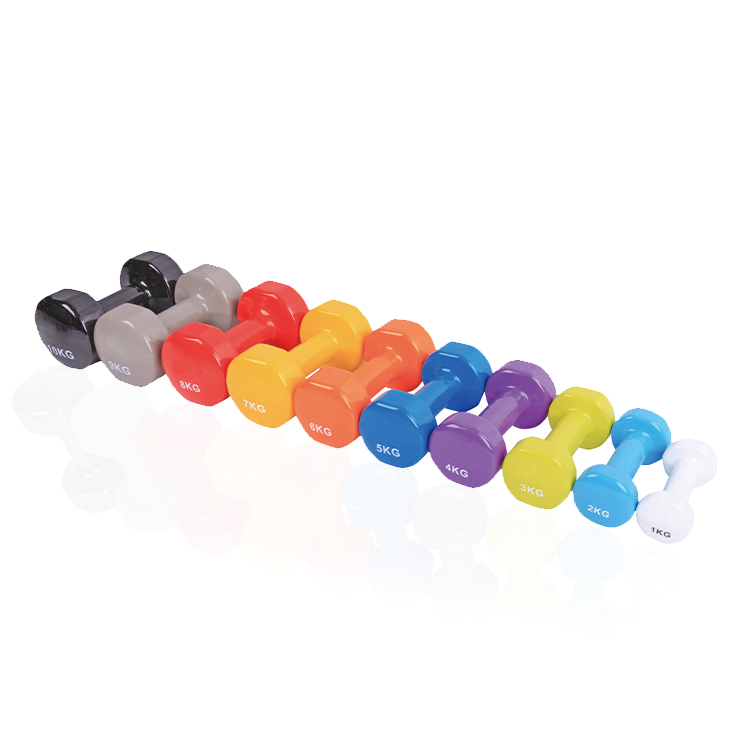 Vinyl dipping dumbbell