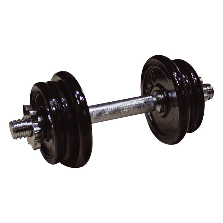 10kg Black painting dumbbell set